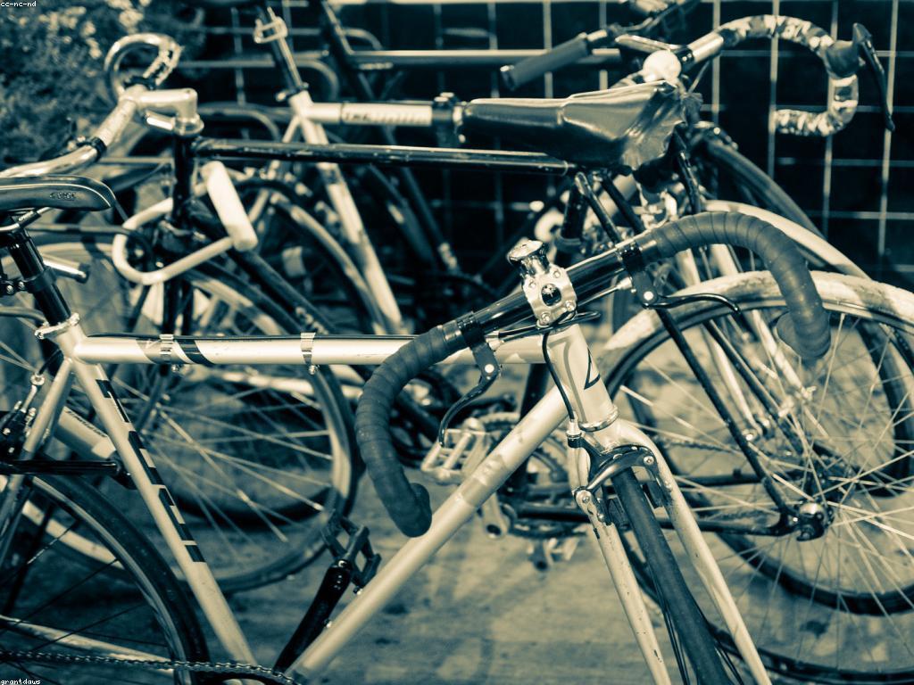 ស្រាបៀរនៅលើអ៊ីនធឺណិត: ការផ្សព្វផ្សាយ និងទីផ្សារថ្មីសម្រាប់ស្រាបៀរ